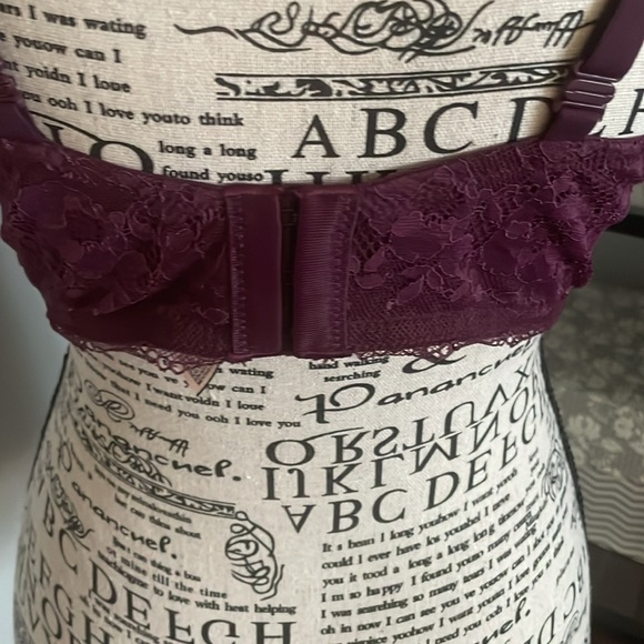 Victoria’s Secret lace bustier bra - Picture 4 of 6